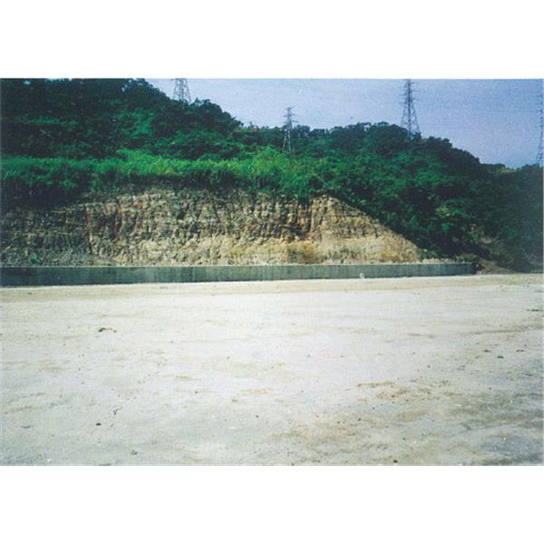 離子安定固化劑