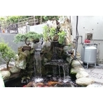 魚池濾水器(過濾青苔)