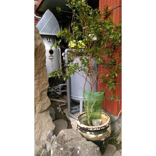 全自動濾水器／水池濾水器-上清水科技有限公司