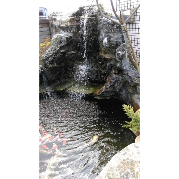 魚池濾水器(過濾青苔)-上清水科技有限公司