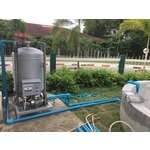 魚池10T／外銷泰國