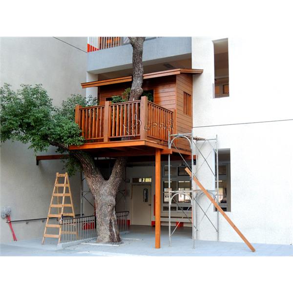苗栗竹南國小樹屋 苗栗竹南國小樹屋