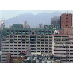 新東陽世紀羅浮綠青銅瓦工程-北銅企業有限公司