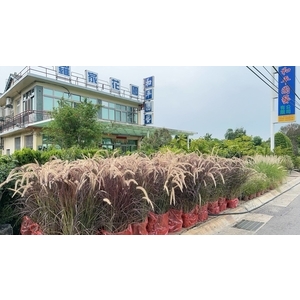 景觀樹木,庭園造景樹木-和平園藝有限公司