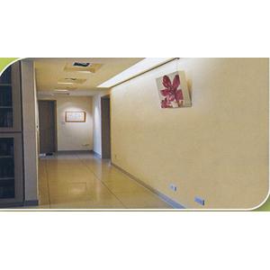 油漆完成(圖六)-記大工程有限公司