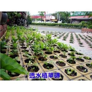 透水植草磚-金入實業有限公司