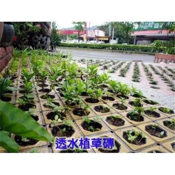 透水植草磚