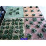 植草磚-齊祥工程股份有限公司