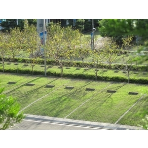 場鑄式植草-中華昇揚有限公司