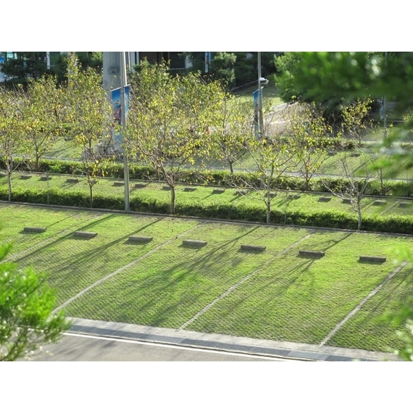 場鑄式植草