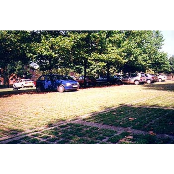 場鑄植草地坪施工 場鑄植草地坪施工