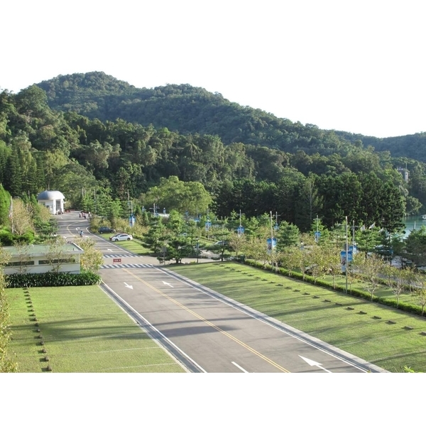 場鑄植草地坪施工