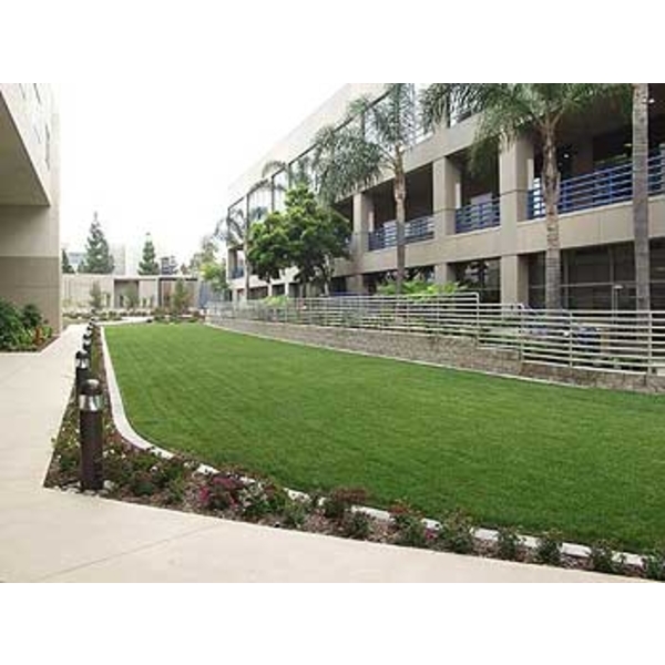 場鑄植草地坪施工 場鑄植草地坪施工