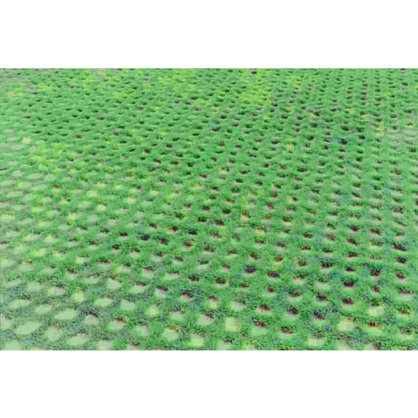 場鑄植草地坪施工 場鑄植草地坪施工