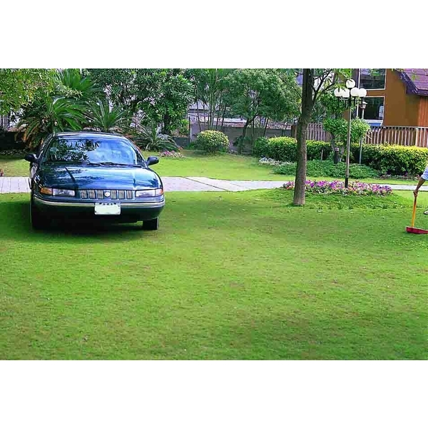 場鑄植草地坪施工 場鑄植草地坪施工