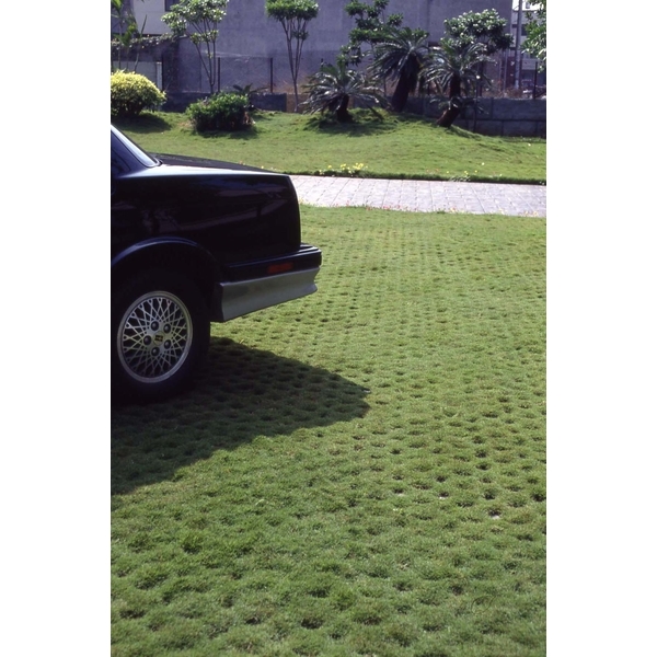 場鑄植草地坪施工 場鑄植草地坪施工