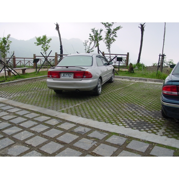 場鑄植草地坪施工 場鑄植草地坪施工