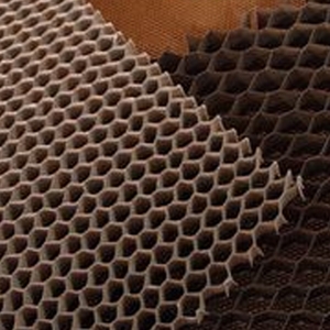 一般紙蜂巢-朝強生技股份有限公司