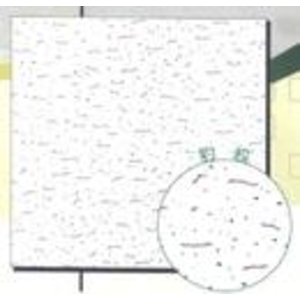 壓花石膏天花板(豹紋)-國翔企業行