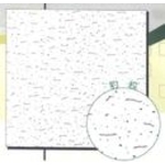 壓花石膏天花板(豹紋)-國翔企業行