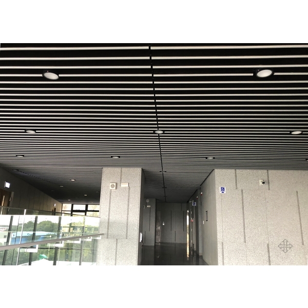 Hunter Douglas