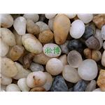 三釆石-淞博園藝企業有限公司