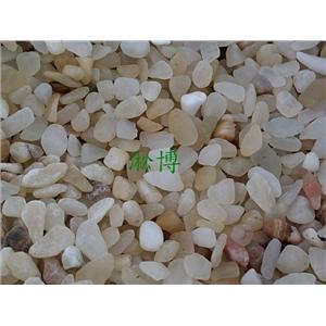 義大利玉(圓)-淞博園藝企業有限公司