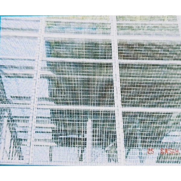 鴿舍搭建(鴿舍網) 鴿舍搭建(鴿舍網)