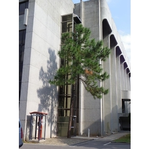 室外電梯-頂尖無障礙科技股份有限公司