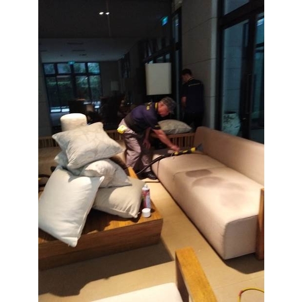 沙發清潔 沙發清潔