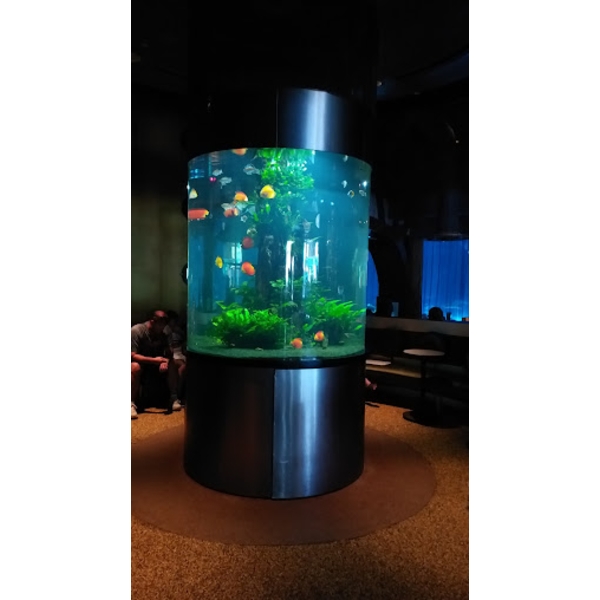 魚缸