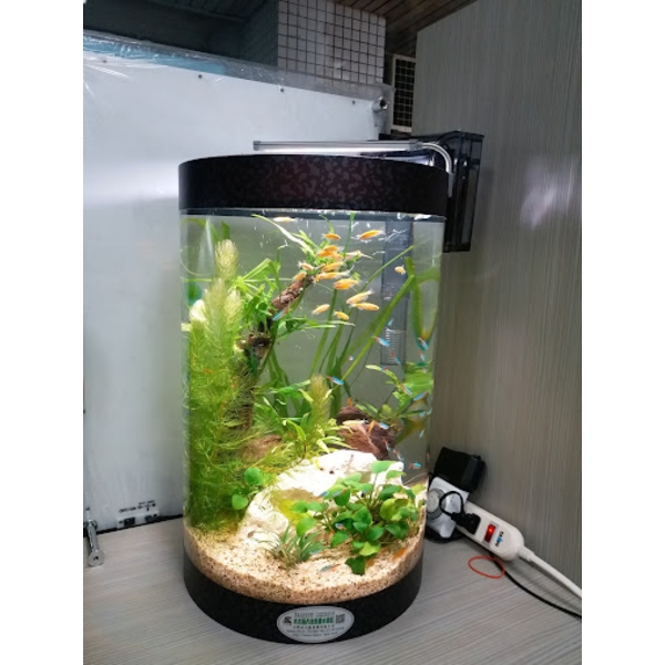 魚缸 魚缸