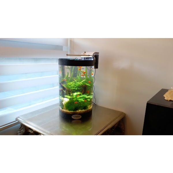 魚缸
