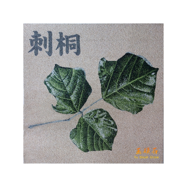 刺桐葉
