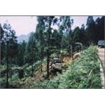 山坡地別墅用地整地工程