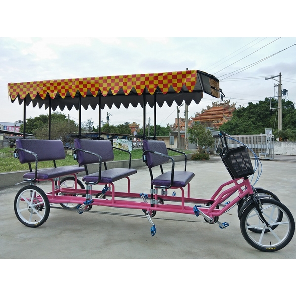 電動六人遊園車