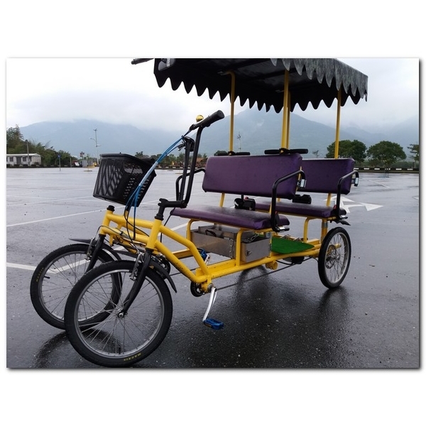 電動四人遊園車