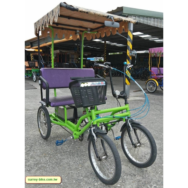 電動情侶遊園車-越將實業有限公司