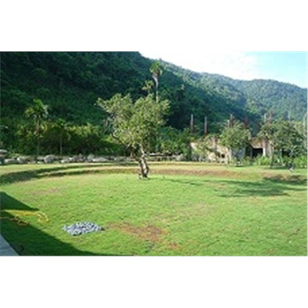 庭園景觀-移山景觀有限公司