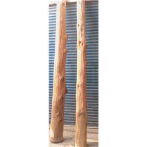 精神柱(床柱)-正道工藝彩畫有限公司