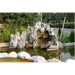 園藝造景 - 永興園藝有限公司