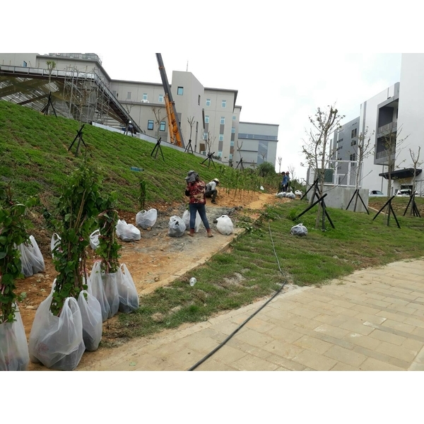 邊坡綠化工程-永興園藝有限公司
