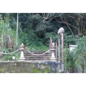 西洋棋造型繫船柱-羿源工業有限公司