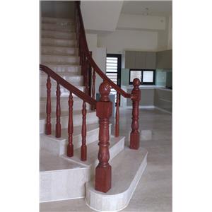 小斑木.中歐.花型枳-木園企業有限公司