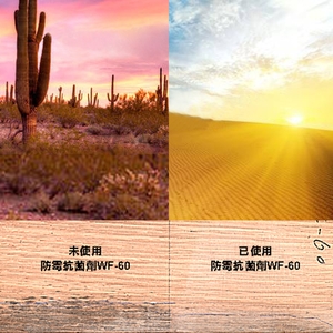 水性防霉抗菌劑-瑞怡造漆有限公司