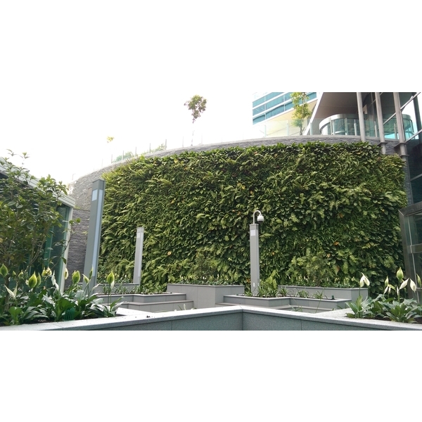 和信醫院 綠化生態實績-植生牆-普渼登實業股份有限公司