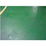 Epoxy-面塗-旭日工程有限公司