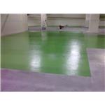 Epoxy-面塗-旭日工程有限公司