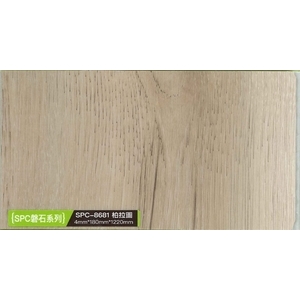 磐石系列-柏拉圖-約恩嗶聯合有限公司