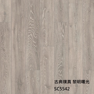 古典璞真5542-約恩嗶聯合有限公司